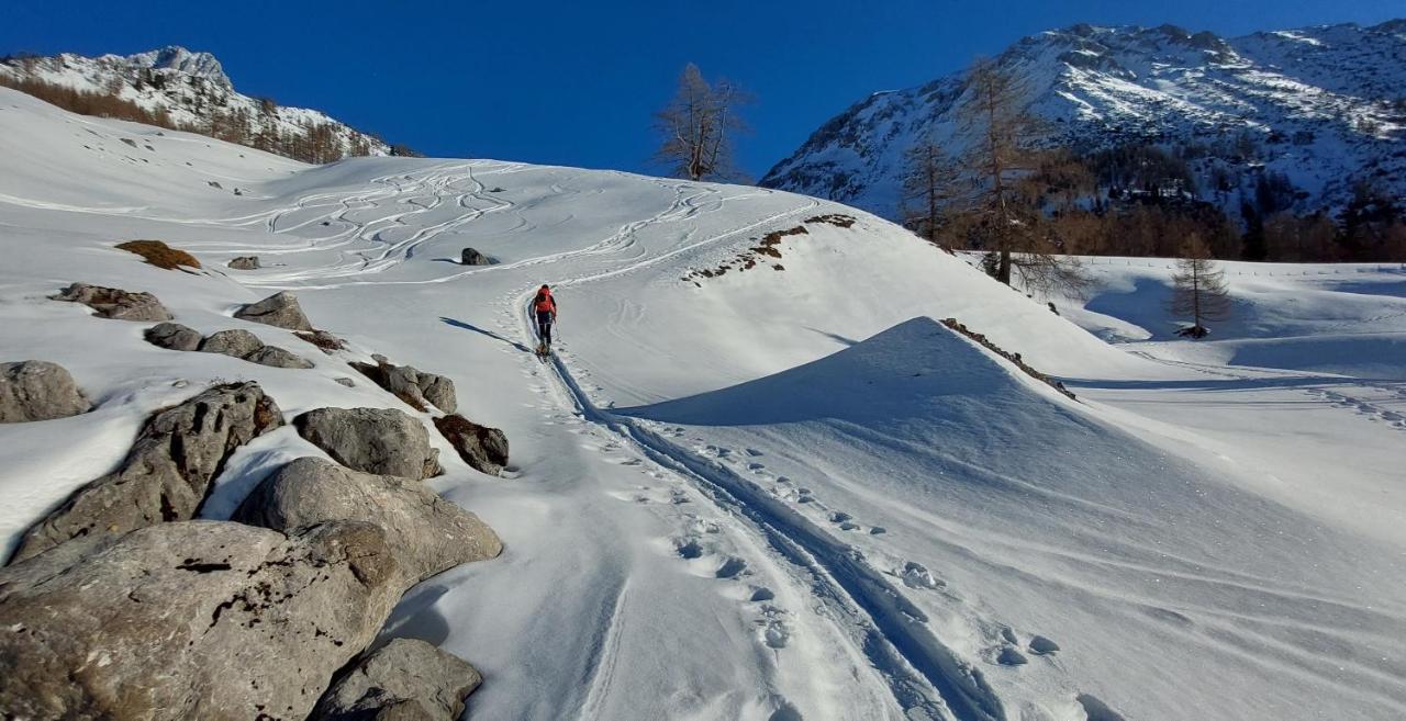 Hotel Garni Sonnhof Flachau Dış mekan fotoğraf